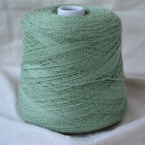 Woolcotton (кактус)