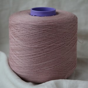 Jasmin (чайная роза)