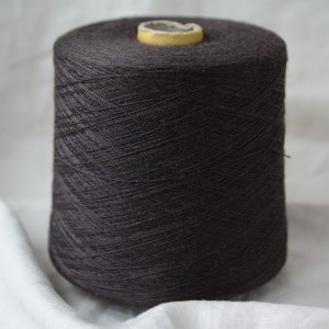 Victoria (шиншилла)